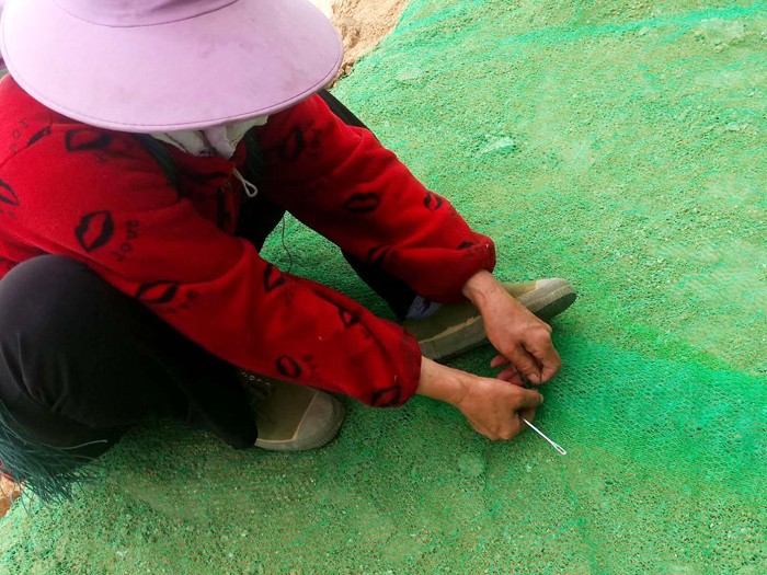 3D Vegetation Net Slope Protection Project